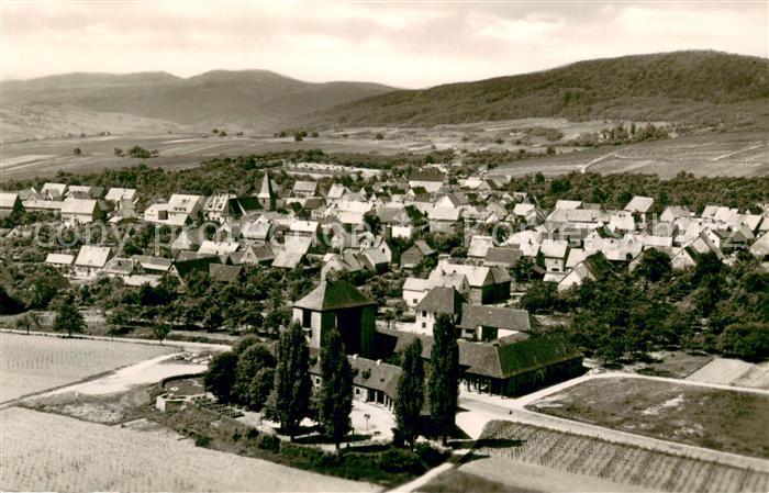 Schweigen-Rechtenbach Weintor Panorama