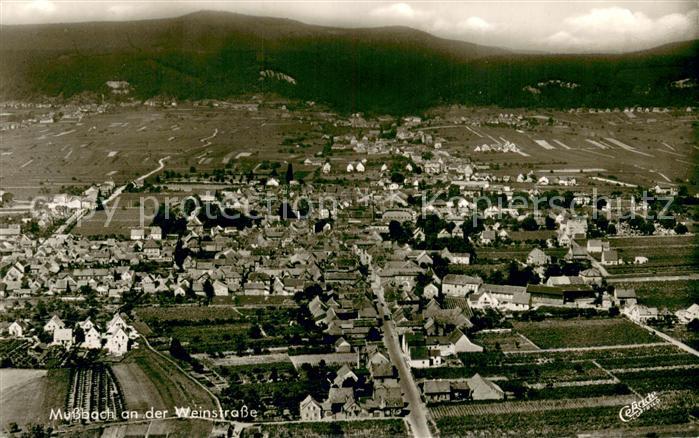 Mussbach Fliegeraufnahme