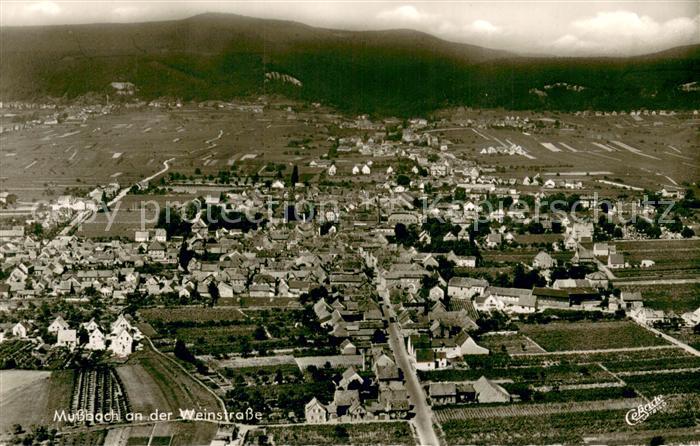 Mussbach Fliegeraufnahme