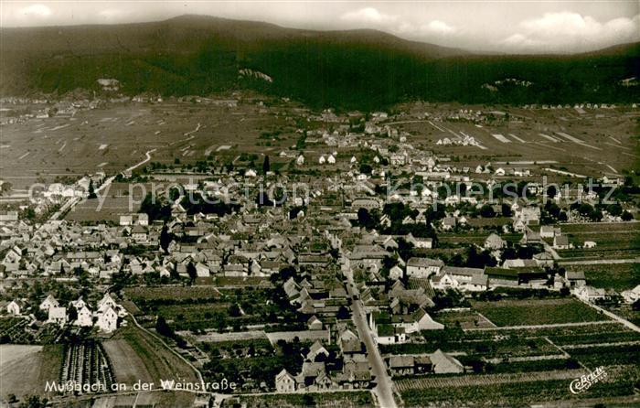 Mussbach Fliegeraufnahme