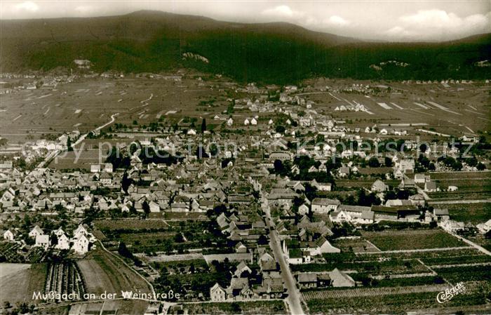 Mussbach Fliegeraufnahme