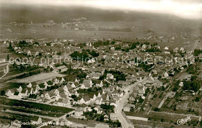 Mussbach Fliegeraufnahme