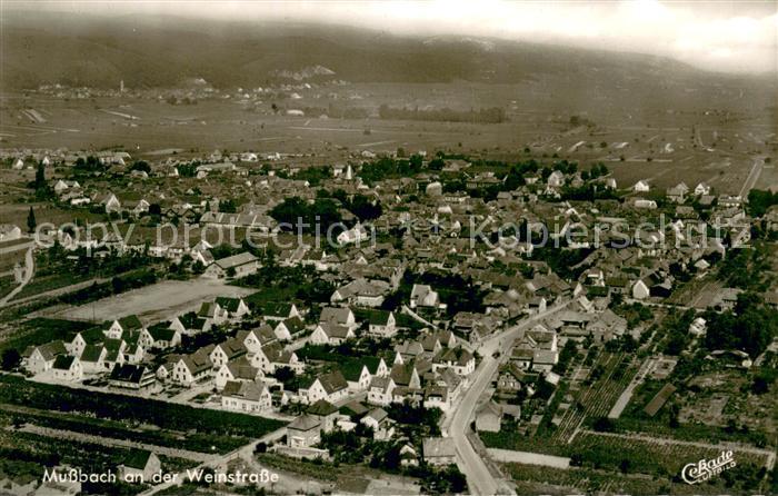 Mussbach Fliegeraufnahme