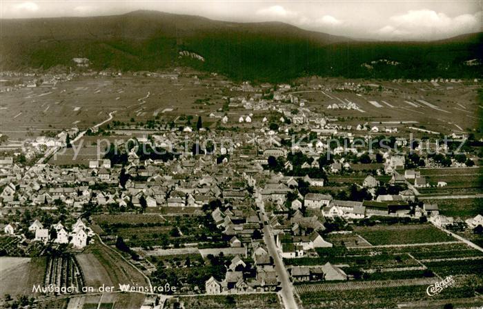 Mussbach Fliegeraufnahme