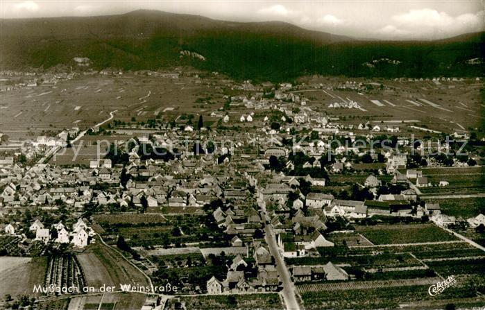 Mussbach Fliegeraufnahme