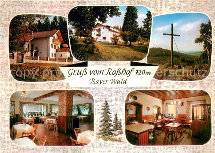 Geigant Hotel Pension Cafe Gaestehaus Rosshof Gastraeume