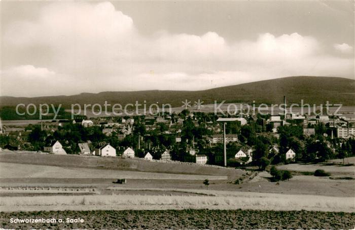 Schwarzenbach Saale Panorama