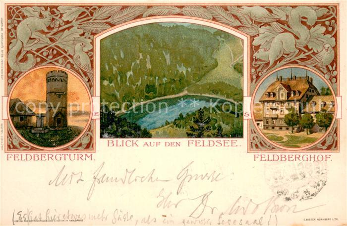 Feldberg 1450m Schwarzwald Feldbergturm Blick auf den Feldsee Hotel Feldbergerho