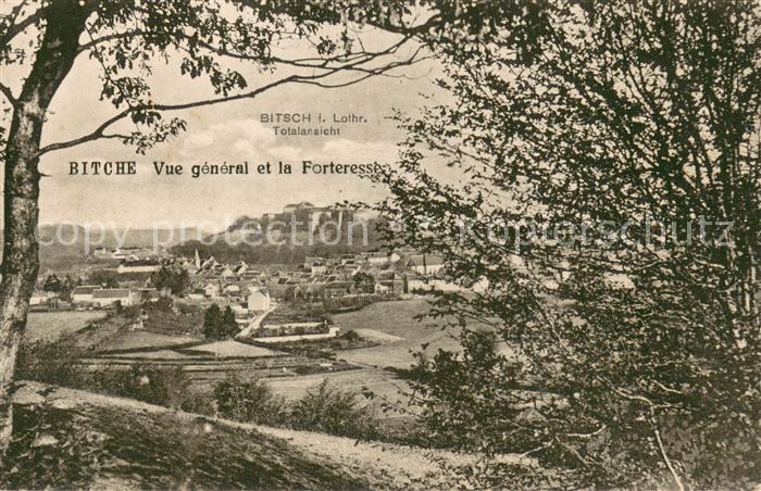 Bitche 57 Moselle Vue generale et la Forteresse