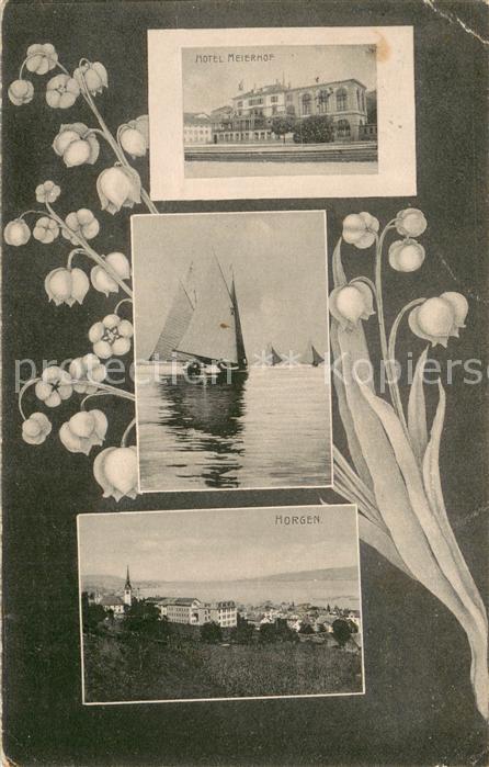 Horgen ZH Hotel Meierhof Segelschiffe Panorama