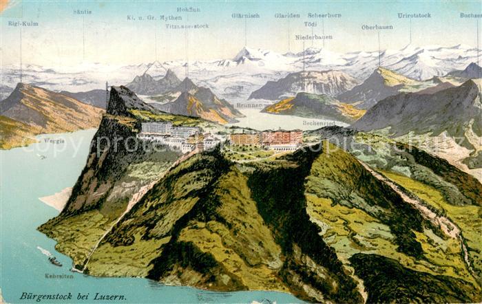 Buergenstock Vierwaldstaettersee Hotels Panorama Fliegeraufnahme