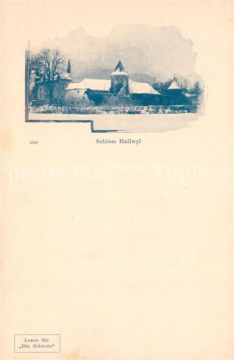 Hallwilersee Schloss Hallwyl