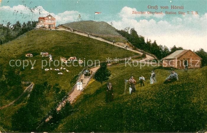 Hoernli-Kulm 1136m ZH Zuericher Oberland Station Steg