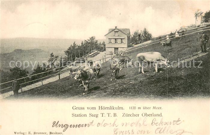 Hoernlikulm Hoernli-Kulm 1136m ZH Station Steg Zuercher Oberland