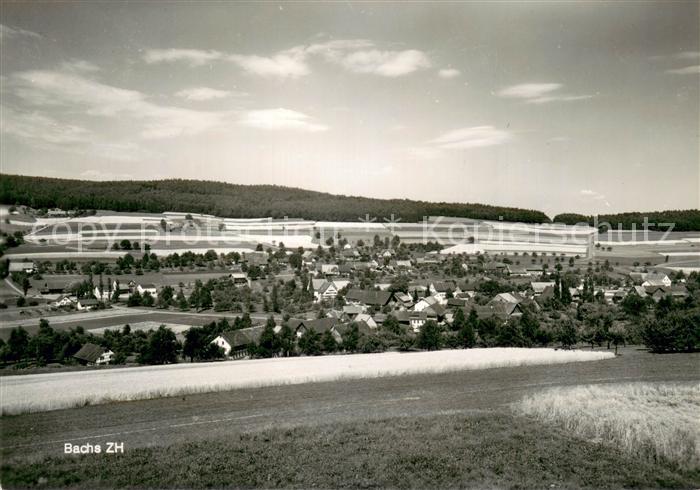 Bachs ZH Restaurant Freihof Panorama