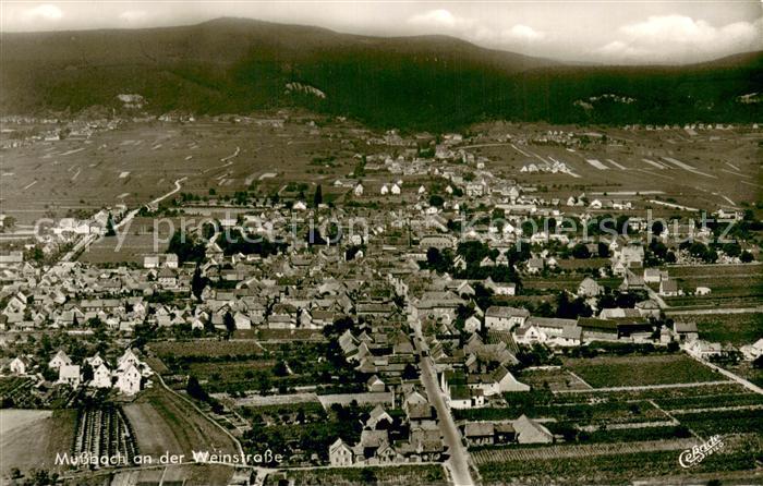 Mussbach Fliegeraufnahme