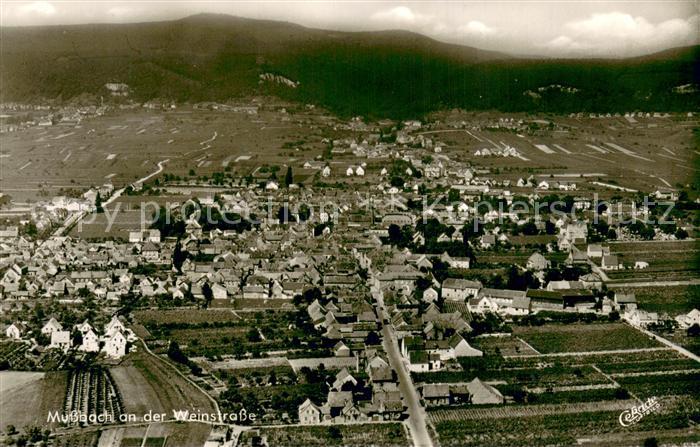 Mussbach Fliegeraufnahme