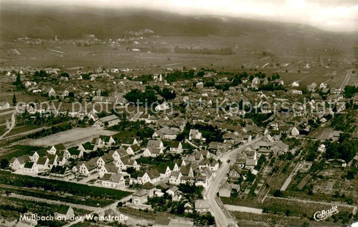 Mussbach Fliegeraufnahme