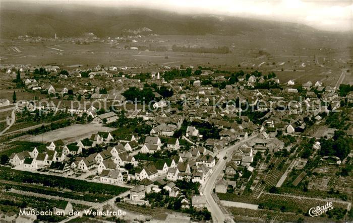 Mussbach Fliegeraufnahme