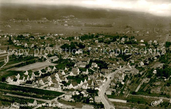Mussbach Fliegeraufnahme