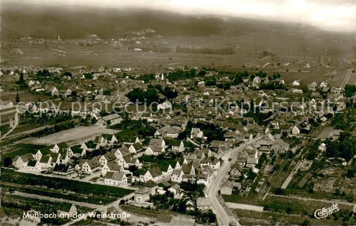 Mussbach Fliegeraufnahme