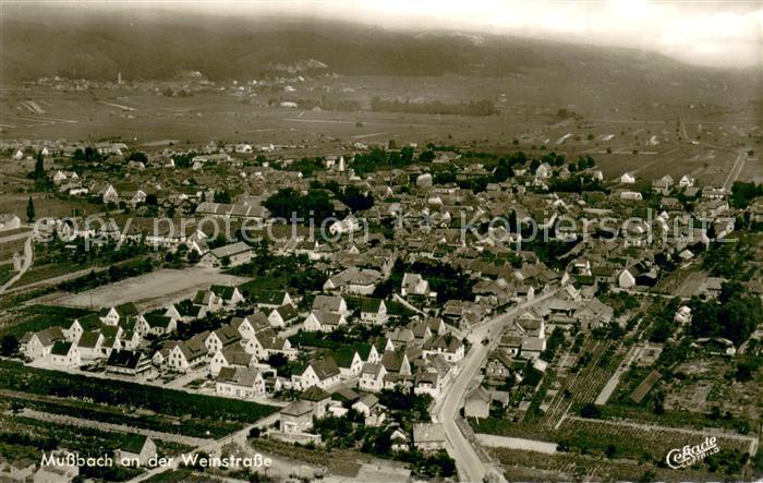 Mussbach Fliegeraufnahme