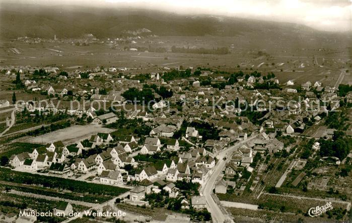 Mussbach Fliegeraufnahme