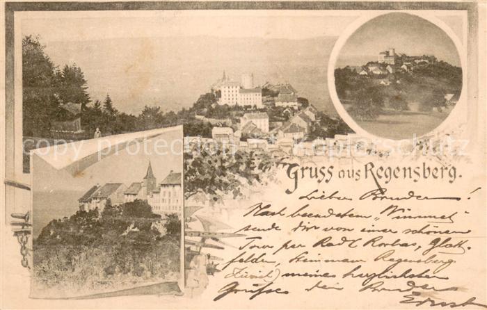 Regensberg Dielsdorf ZH Schloss Panorama