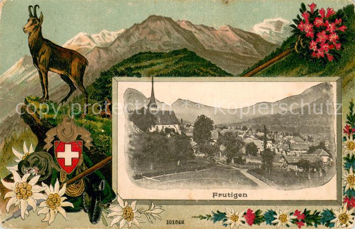 Frutigen BE Panorama