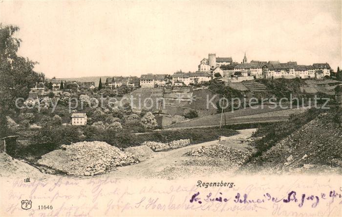 Regensberg Dielsdorf ZH Gesamtansicht