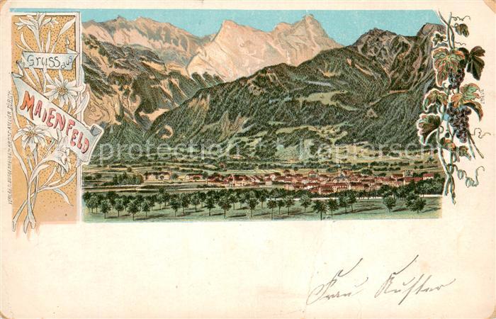 Maienfeld GR Gesamtansicht