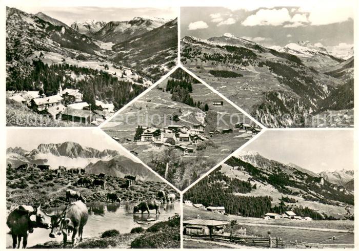 Pany GR Panorama Teilansichten Viehherde