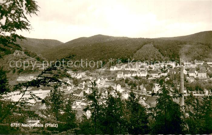 Neidenfels Pfalz Teilansicht