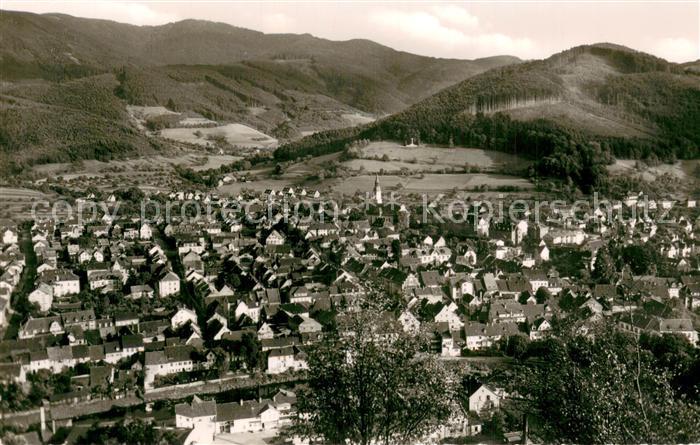 Waldkirch Breisgau Gesamtansicht