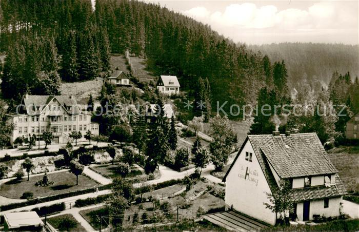 Altenau Harz Kleine Oker m. Gebirgshotel