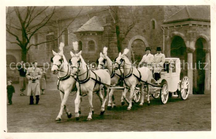 Koeln  Rhein Hochzeitswagen Pferde-Kutsche