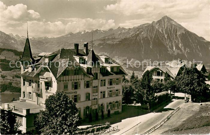 Beatenberg BE Hotel Bluemlisalp - Beatrice Niesenkette