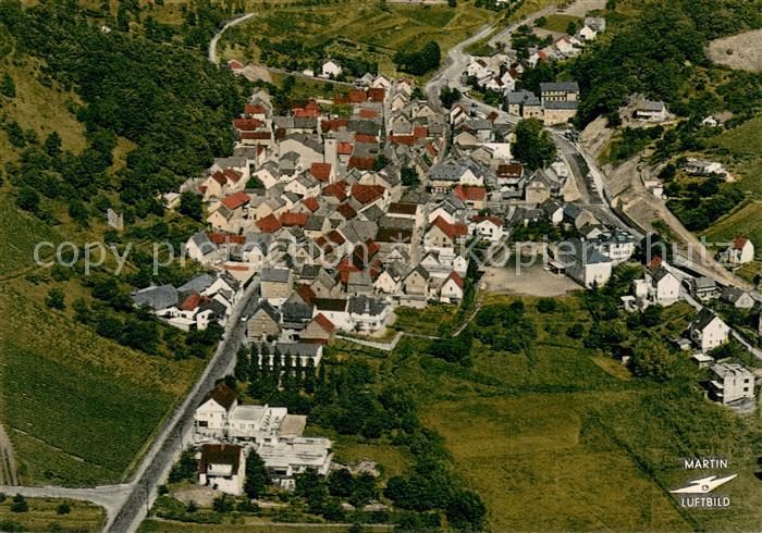 Eltville Rhein Fliegeraufnahme