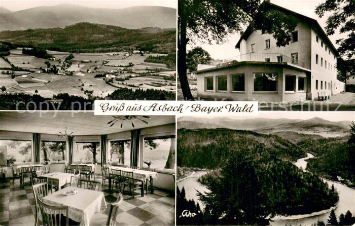 Asbach Teisnach Panorama u. Berggasthof Pension Asbach Teilansichten