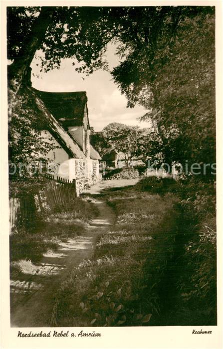 Nebel Amrum Waldweg Dorfrand Bach
