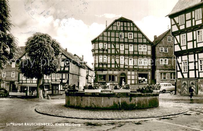 Rauschenberg Hessen Platz Fachwerkhaeuser