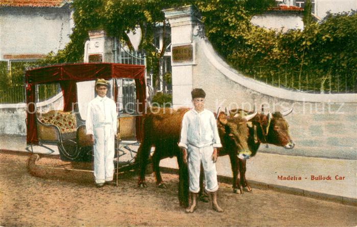 Madeira Portugal Bullock Car