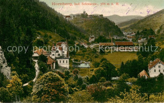 Hornberg Schwarzwald Teilansicht