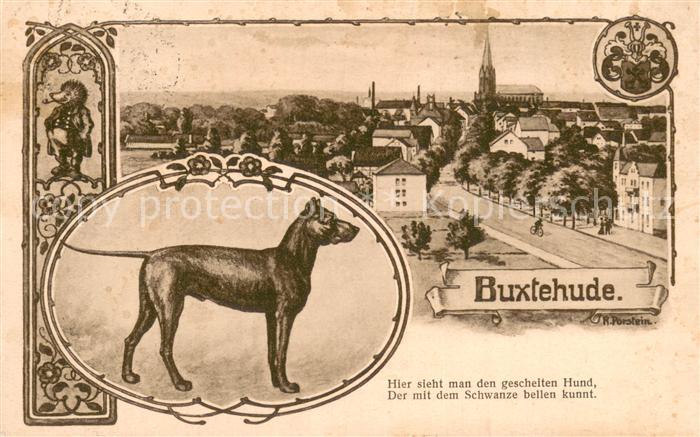 Buxtehude Teilansicht m. Hund