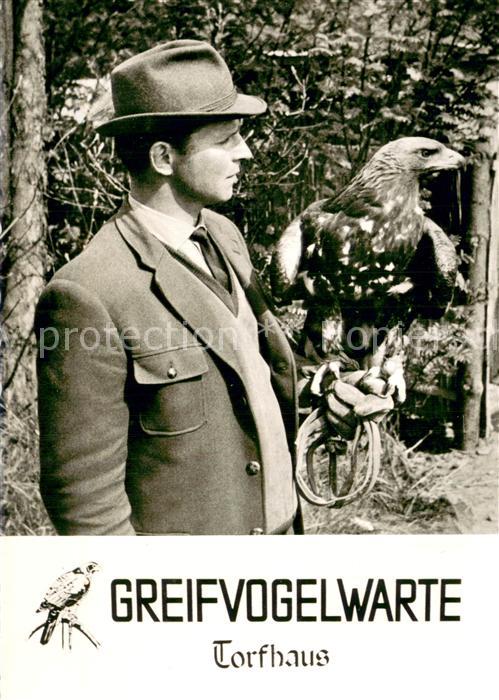 Torfhaus Harz Greifvogelwarte