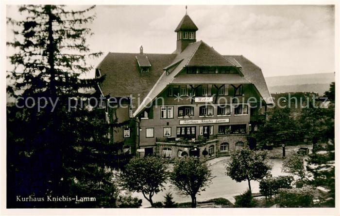 Lamm Kniebis Kurhaus Kniebis Lamm