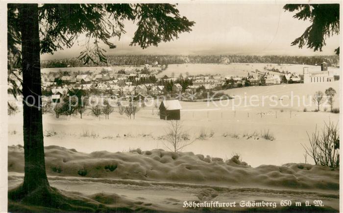 Schoemberg Freudenstadt Panorama