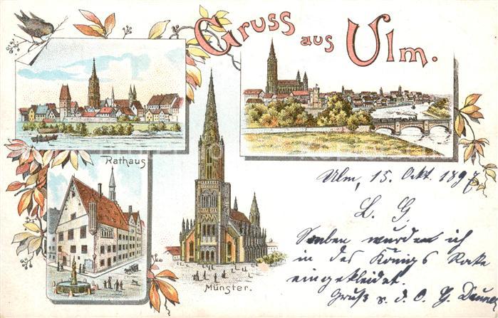 Ulm Donau Panorama Muenster Rathaus