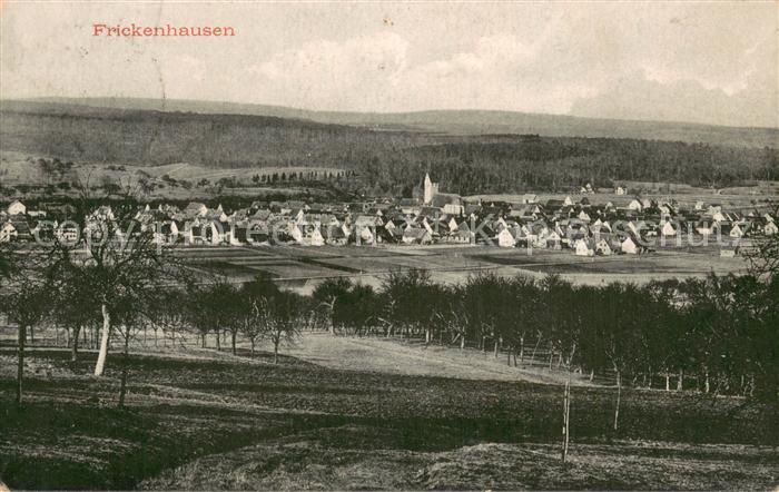 Frickenhausen Wuerttemberg Panorama
