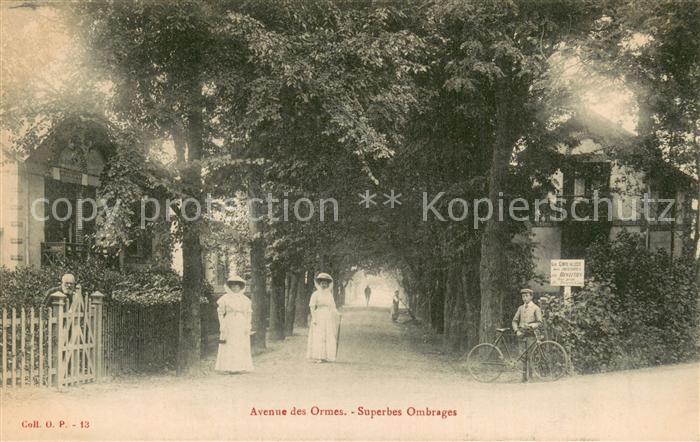 Liege Le Avenue des Ormes Superbes Ombrages